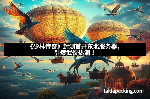 《少林传奇》封测首开东北服务器，引爆武侠热潮！